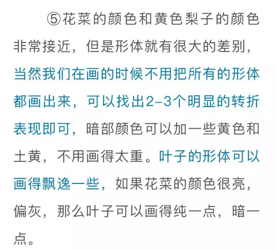 色彩靜物中的蔬菜類怎么畫,看重慶美術培訓學校老師來教你！圖二十四