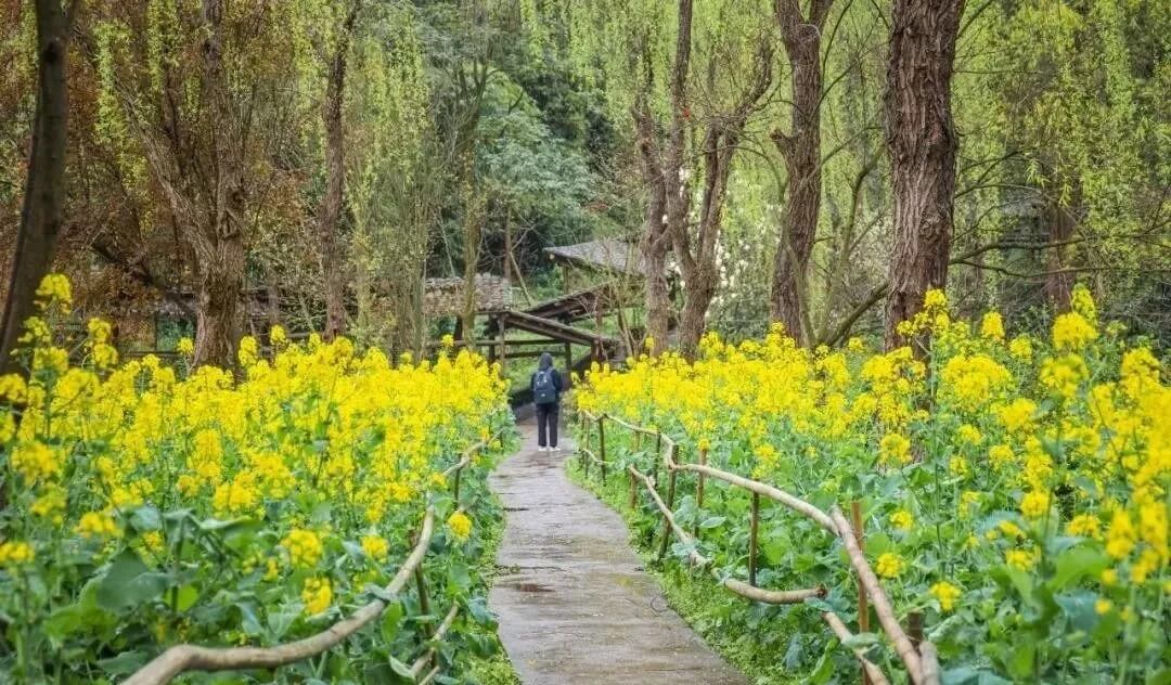 重慶畫(huà)室培訓(xùn)助你考上川美！體驗(yàn)川美校園環(huán)境，提前愛(ài)上她！