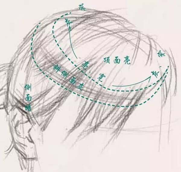 素描頭像的發(fā)絲教學(xué)！跟著重慶美術(shù)集訓(xùn)畫室老師看看吧，圖一