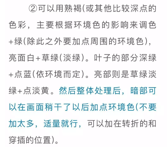 色彩靜物中的蔬菜類怎么畫,看重慶美術培訓學校老師來教你！圖五